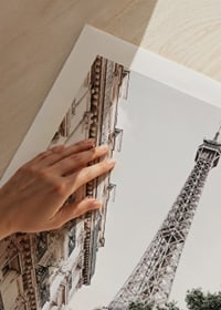 Low angle photography of the Eiffel Tower with greenery-9