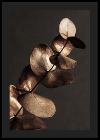 Close-up van gouden eucalyptusbladeren tegen een bruine achtergrond-0