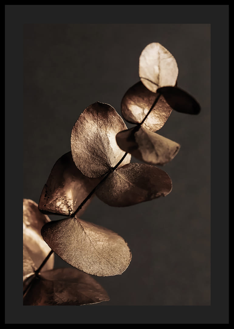 Close-up van gouden eucalyptusbladeren tegen een bruine achtergrond-12