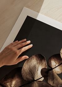 Eucalyptus Gold & Brown-5