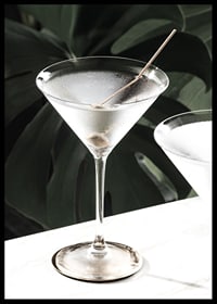 Photographic close-up of martini glass with olive and iced surface-6
