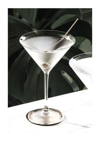 Dry Martini Vintage-1