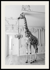 Czarno-białe zdjęcie żyrafy w eleganckim salonie-2