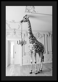 Czarno-białe zdjęcie żyrafy w eleganckim salonie-4