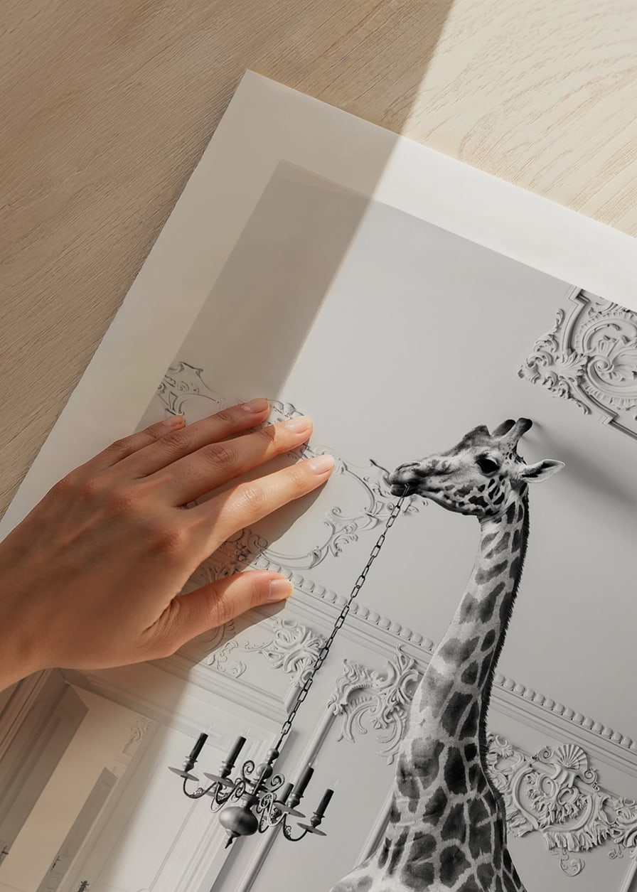 Black and white photograph of a giraffe in an elegant living room-12