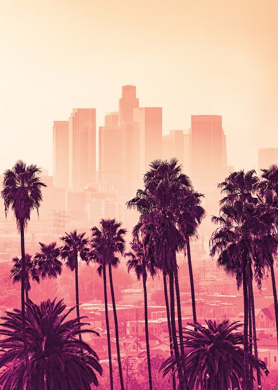 Palmbomen voor de skyline van Los Angeles in roze en oranje tinten-12