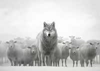 Lobo fotorrealista cercado por ovelhas em paisagem nebulosa-7