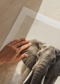Photorealistic herd of elephants on dusty savannah in soft tones-9