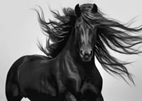 Black horse in close-up with fluttering mane, black and white style-7