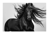 Black horse in close-up with fluttering mane, black and white style-1