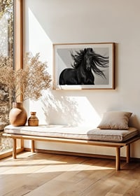 Black horse in close-up with fluttering mane, black and white style-8