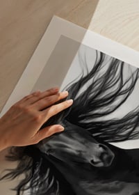 Black horse in close-up with fluttering mane, black and white style-9