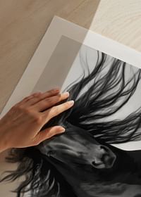 Black Horse Show No2-5