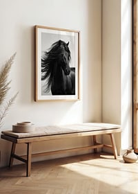 Black and white close-up of black horse with fluttering mane-8