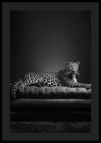 Black and white leopard lying on an elegant sofa, photographic-0