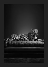 Black and white leopard lying on an elegant sofa, photographic-1