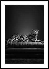 Black and white leopard lying on an elegant sofa, photographic-2