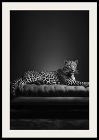 Black and white leopard lying on an elegant sofa, photographic-4