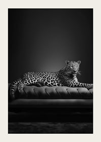 Black and white leopard lying on an elegant sofa, photographic-5