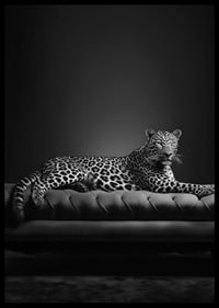 Black and white leopard lying on an elegant sofa, photographic-6