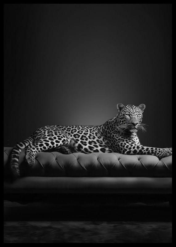 The Pet Leopard B&W-12