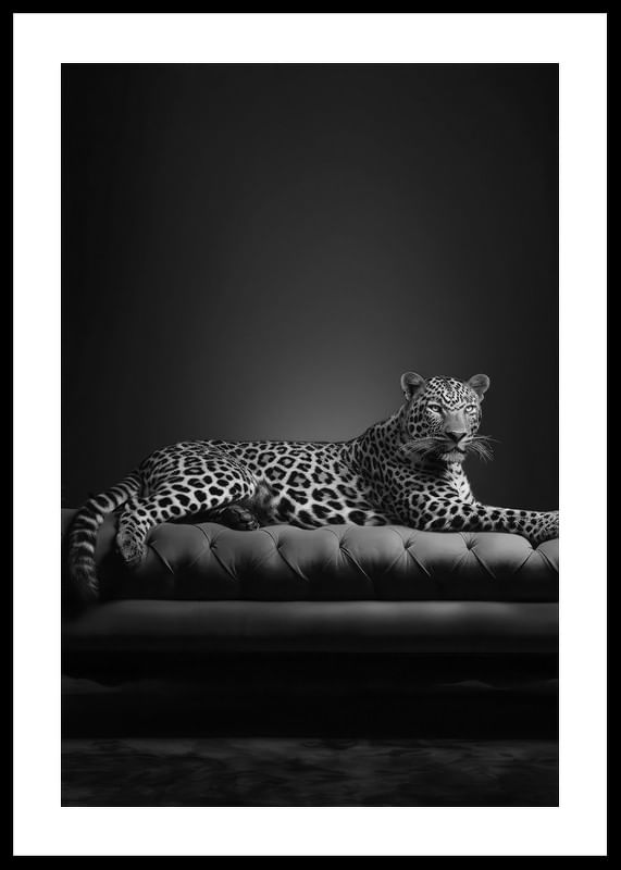The Pet Leopard B&W-12
