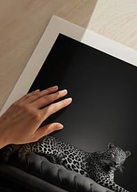 The Pet Leopard B&W-5
