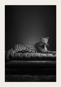 Black and white leopard lying on an elegant sofa, photographic-3