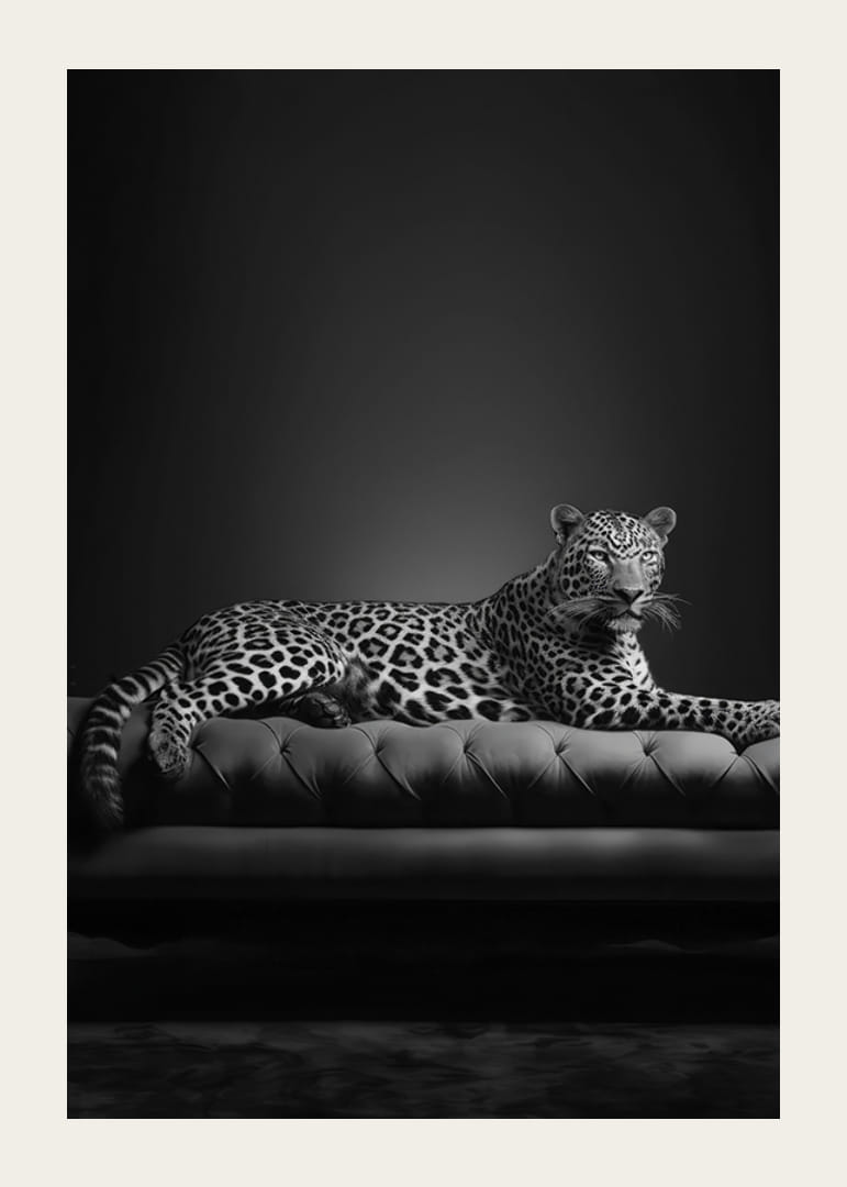 Black and white leopard lying on an elegant sofa, photographic-12