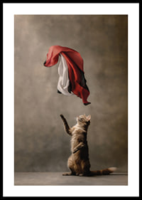 Standing cat reaches for sweeping red black white satin cloth-0