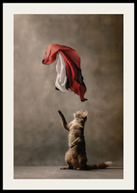 Standing cat reaches for sweeping red black white satin cloth-2
