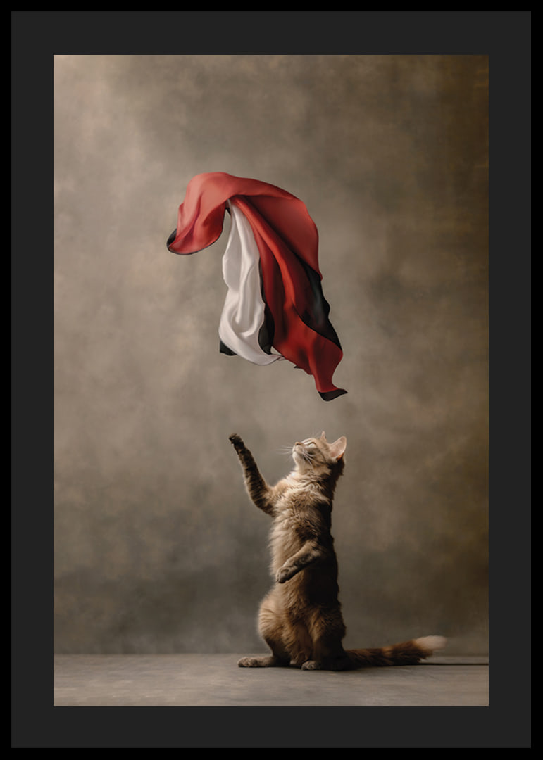 Standing cat reaches for sweeping red black white satin cloth-12
