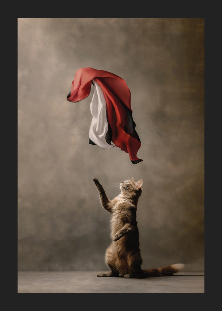 Standing cat reaches for sweeping red black white satin cloth-12
