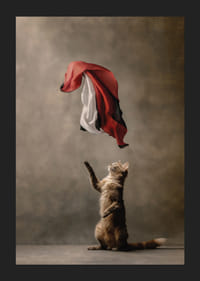 Álló macska nyúl a söprő piros, fekete, fehér szatén kendőért-5