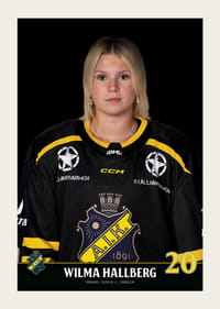 Wilma Hallberg #20 AIK Hockey 2023/2024-5