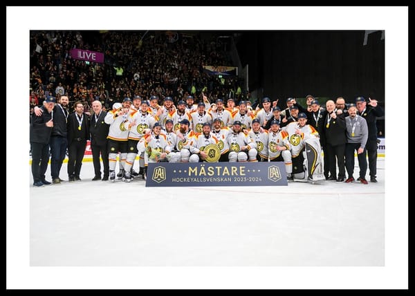 Poster Mästare 2024 Brynäs IF