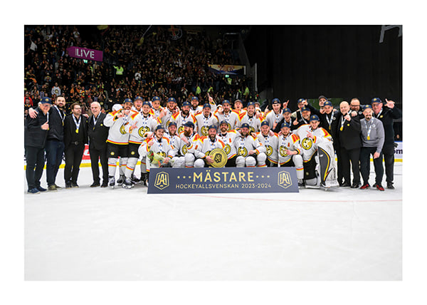 Poster Mästare 2024 Brynäs IF