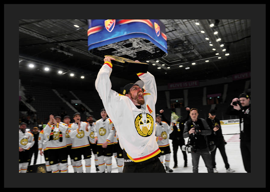 Anton Rödin jublar Brynäs IF-12