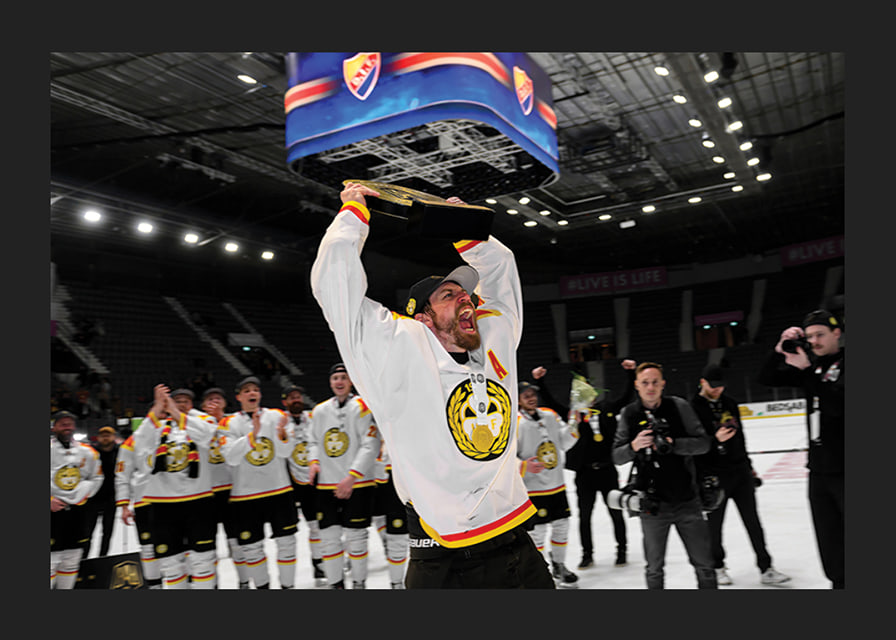 Anton Rödin jublar Brynäs IF-12