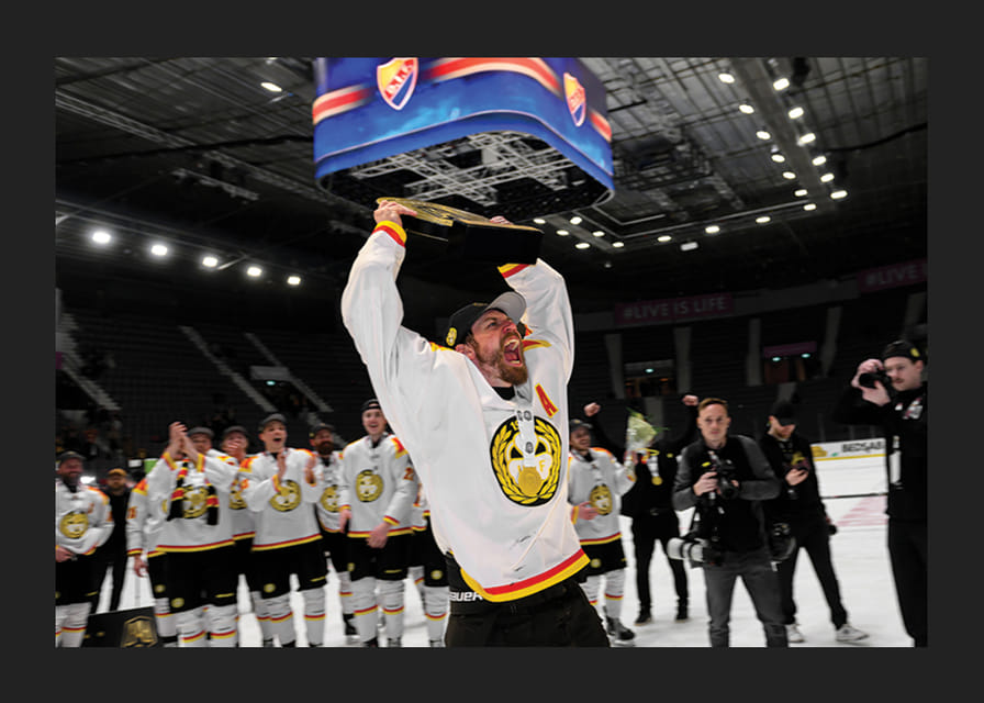 Anton Rödin jublar Brynäs IF-12