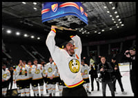 Anton Rödin jublar Brynäs IF-6