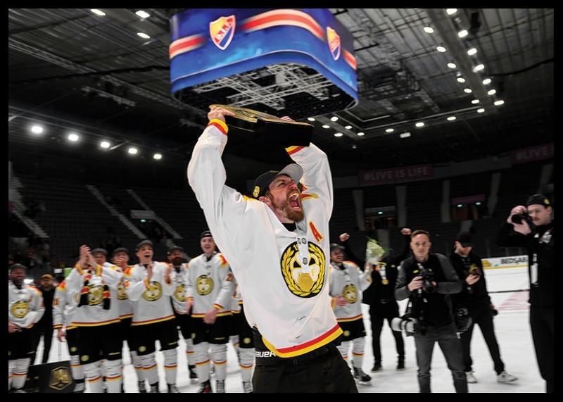 Anton Rödin jublar Brynäs IF-12