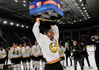 Anton Rödin jublar Brynäs IF-7
