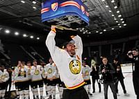 Anton Rödin jublar Brynäs IF-3
