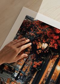 Café En Fleurs Paris-5