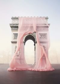 Arc De Triomphe Rose-3