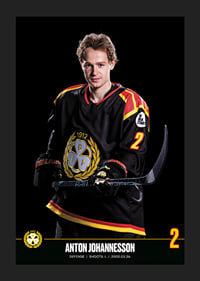 Anton Johannesson #2 Brynäs IF 2023/2024-5