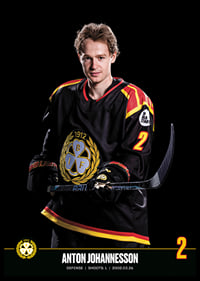 Anton Johannesson #2 Brynäs IF 2023/2024-6