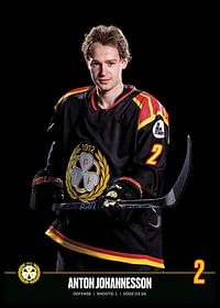 Anton Johannesson #2 Brynäs IF 2023/2024-2