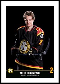 Anton Johannesson #2 Brynäs IF 2023/2024-0